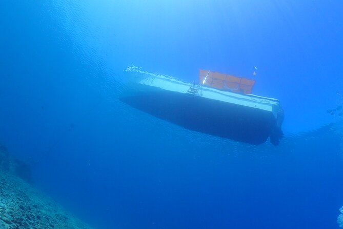 Okinawa Scuba Diving for Certified Divers (3 Boat Dives Lunch) - Boat Diving Locations