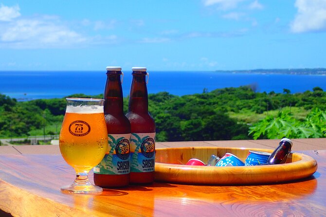 Okinawa Scuba Diving for Certified Divers (3 Boat Dives Lunch) - Lunch Options and Dietary Restrictions