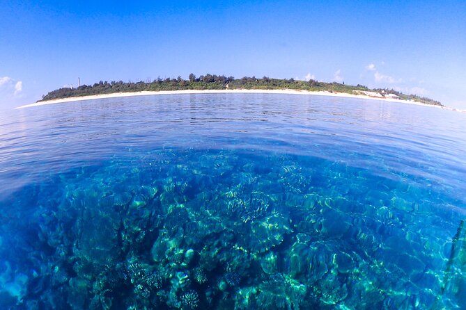 Okinawa Scuba Diving for Certified Divers (3 Boat Dives Lunch) - Booking and Cancellation Policies