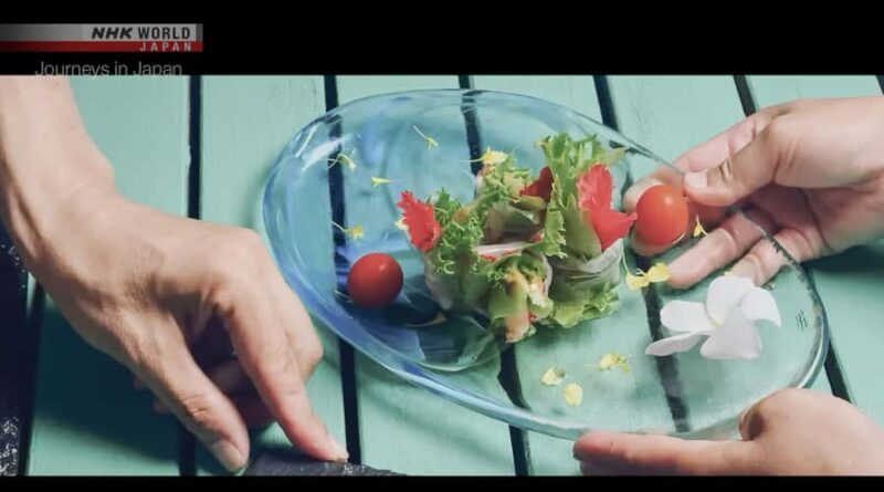 Okinawa: Sesoko Island Edible Flower Harvest & Meal - Who Should Consider This Tour?