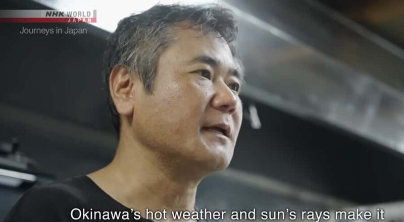 Okinawa: Sesoko Island Edible Flower Harvest & Meal - Who is This Tour Best For?