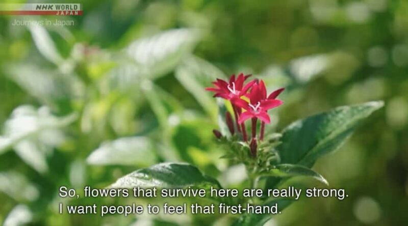 Okinawa: Sesoko Island Longevity Hot Pot Experience - Good To Know