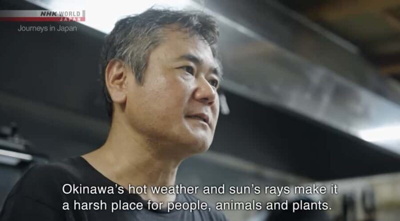 Okinawa: Sesoko Island Longevity Hot Pot Experience - Practical Details and How to Make the Most of It