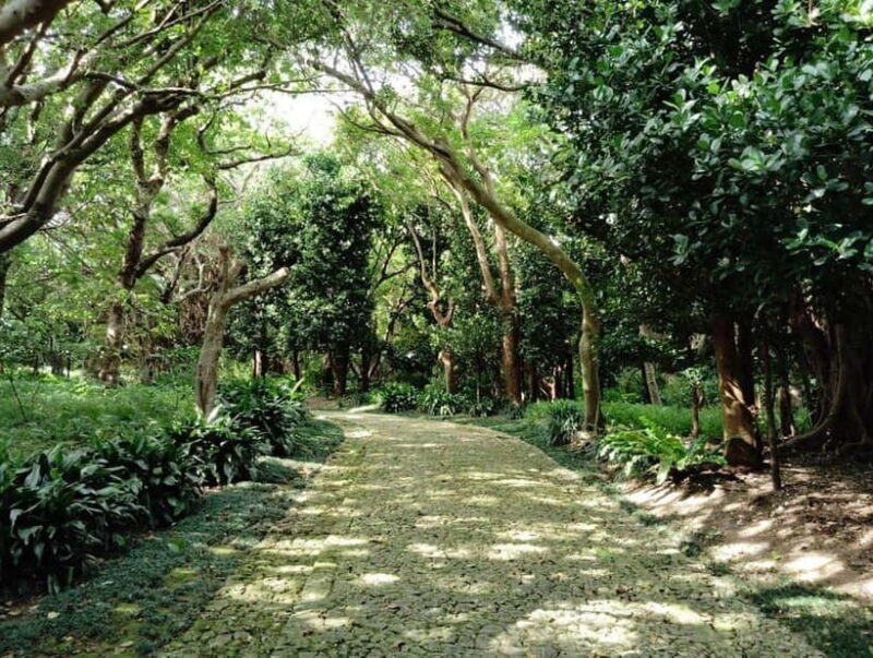 Okinawa: Shikinaen Royal Garden Guided Tour  UNESCO Site - Exploring Shikinaen Garden: A Closer Look