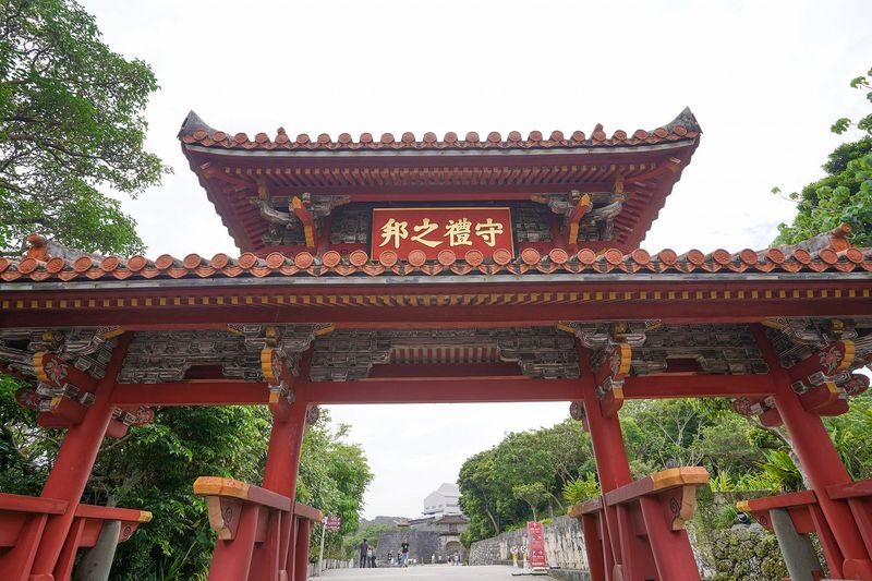 Okinawa Shuri Castle Peace Walking Tour - A sacred tree in the Kinjo area