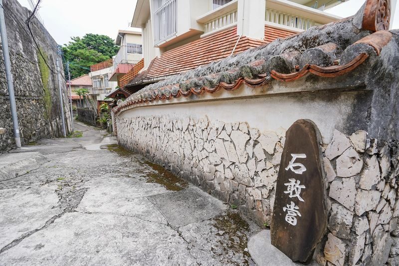 Okinawa Shuri Castle Peace Walking Tour - Who should book this Shuri tour?