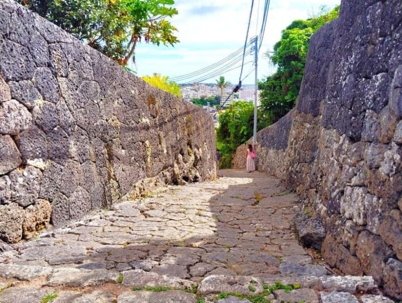 Okinawa: Shurijo Castle & Tamaudun Guided Tour - UNESCO Site - Analyzing the Value: Is It Worth It?