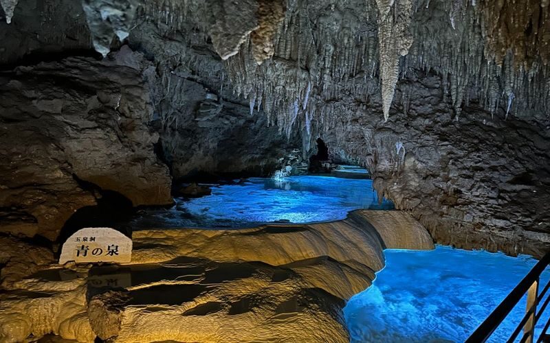 Okinawa Sightseeing Bus North and South Routes 1-Day Tour: Gyokusendo Cave, DMM Kariyushi Aquarium, Senagajima & Cape Manzamo, Churaumi Aquarium, American Village - What the bus service does well, and what it does not