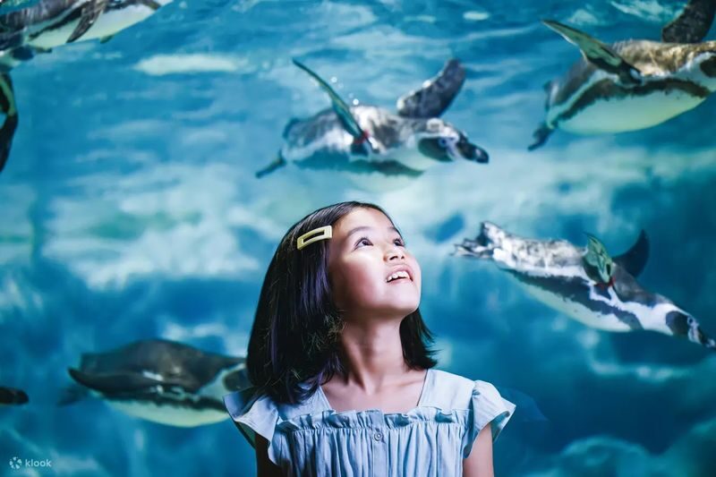 Okinawa Sightseeing Bus North and South Routes 1-Day Tour: Gyokusendo Cave, DMM Kariyushi Aquarium, Senagajima & Cape Manzamo, Churaumi Aquarium, American Village - Before you board in Naha