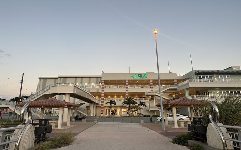 Okinawa Sightseeing Bus North and South Routes 1-Day Tour: Gyokusendo Cave, DMM Kariyushi Aquarium, Senagajima & Cape Manzamo, Churaumi Aquarium, American Village - Should you book this Okinawa bus day?