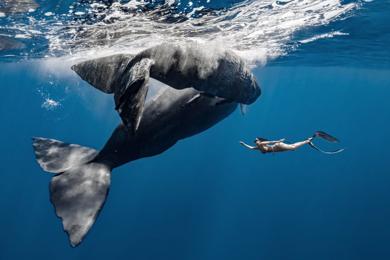 Okinawa Snorkeling/Diving Experience: Blue Cave, Whale Shark, Kerama Islands (Chinese/English Instructor + Equipment Included + Photography) - What to know before you book