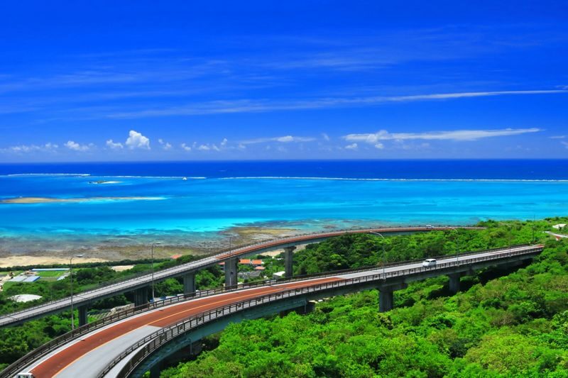Okinawa South Day Tour: Gyokusendo Cave & Ryukyu Kingdom Village - Senaga Island - Sea Grape Picking - Itoman Fish Market - Cape Chinen - All-You-Can-Eat Yakiniku | Departure from Naha - A southbound route with several kinds of Okinawa