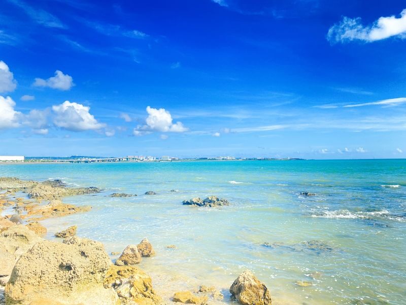 Okinawa South Day Tour: Gyokusendo Cave & Ryukyu Kingdom Village - Senaga Island - Sea Grape Picking - Itoman Fish Market - Cape Chinen - All-You-Can-Eat Yakiniku | Departure from Naha - Scooping sea grapes at Uminchi Farm
