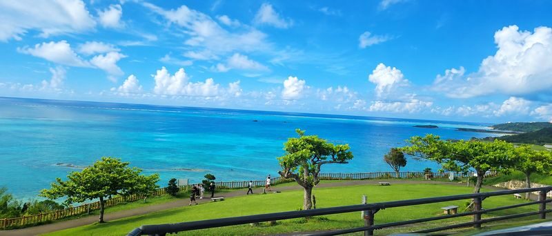 Okinawa South Day Tour: Gyokusendo Cave & Ryukyu Kingdom Village - Senaga Island - Sea Grape Picking - Itoman Fish Market - Cape Chinen - All-You-Can-Eat Yakiniku | Departure from Naha - What the guide and transport are like