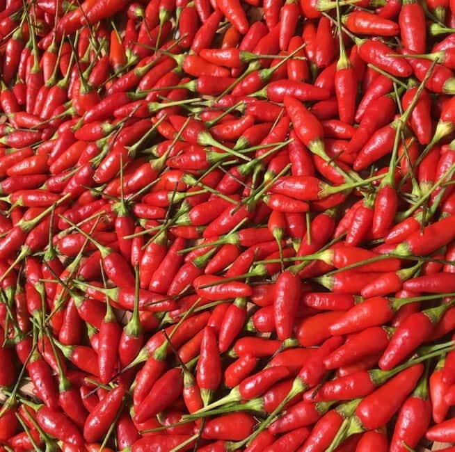 Okinawa: Traditional farming experience & cooking and a meal - Is This Experience Worth It?