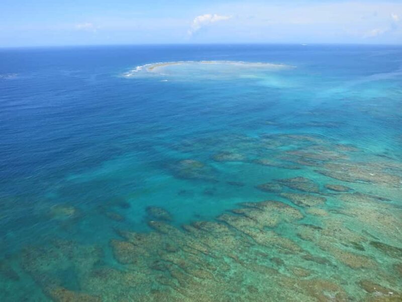 Okinawa: Tropical Fishing Tour with Equipment Rental - Good To Know