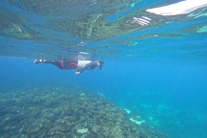 Okinawa West Coast 3-Hour Paddle-boarding adventures - The Authenticity and Quality of the Experience