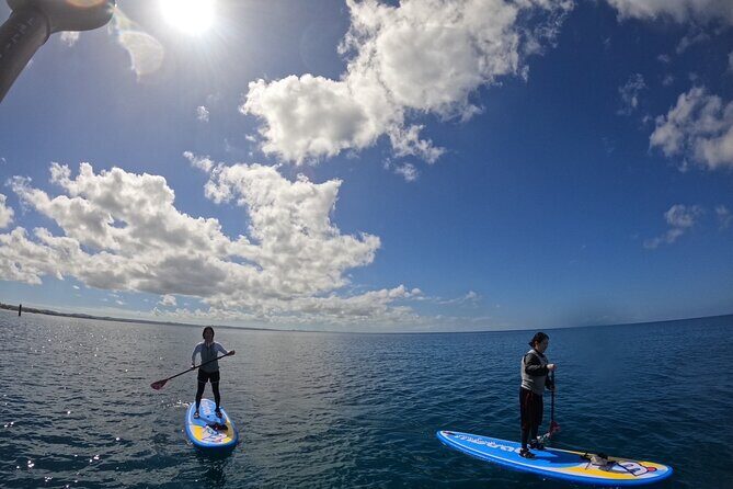 Okinawa West Coast 3-Hour Paddle-boarding adventures - Pricing and Value