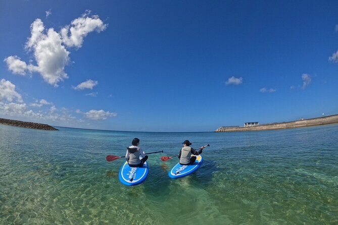 Okinawa West Coast 3-Hour Paddle-boarding adventures - Who Should Consider This Tour?