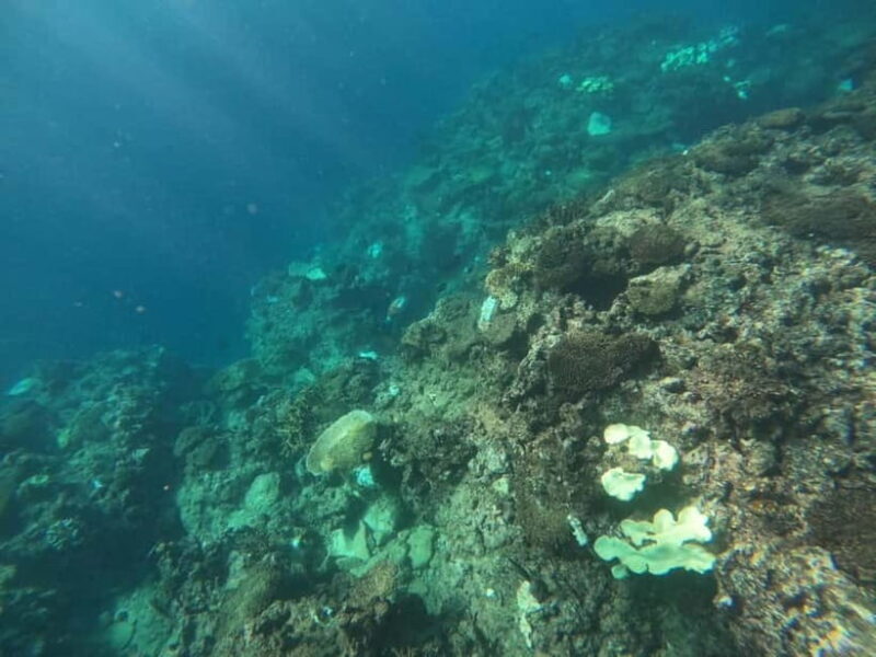 Okinawa: West Coast Stand-Up Paddleboarding Experience - Good To Know