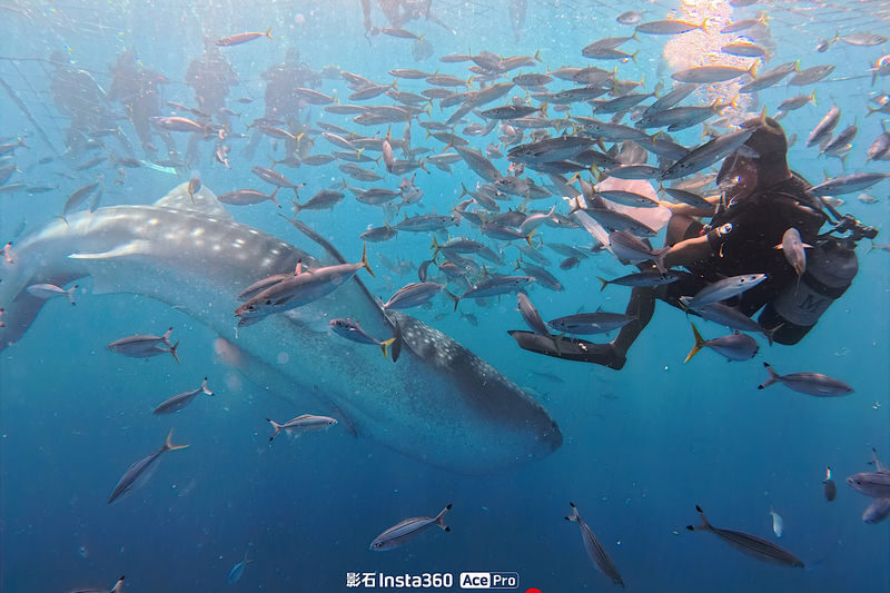 Okinawa Whale Shark Discover Scuba Diving Experience - Getting ready at Toya Fishing Port