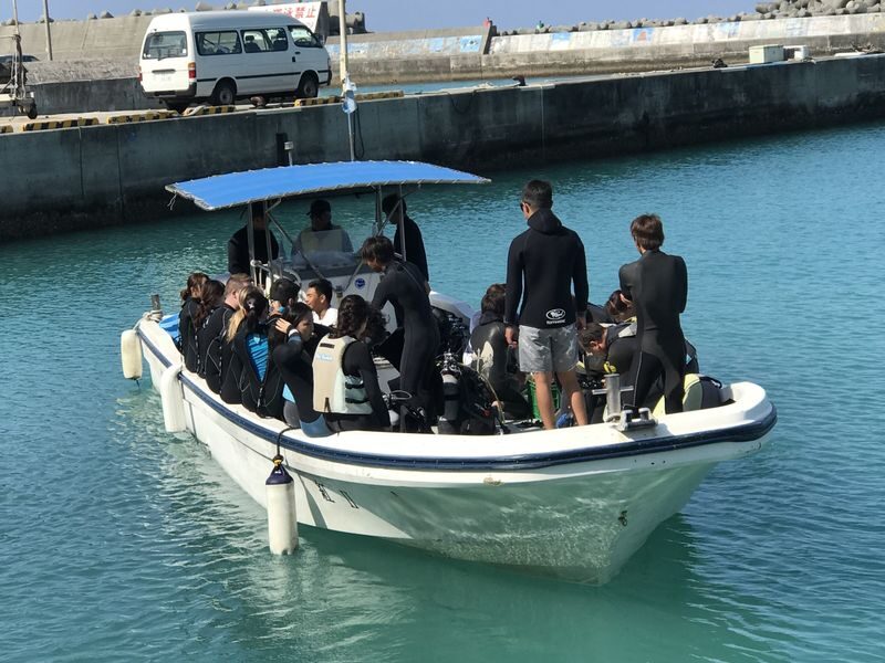 Okinawa Whale Shark Encounter Experience - Getting ready for the water