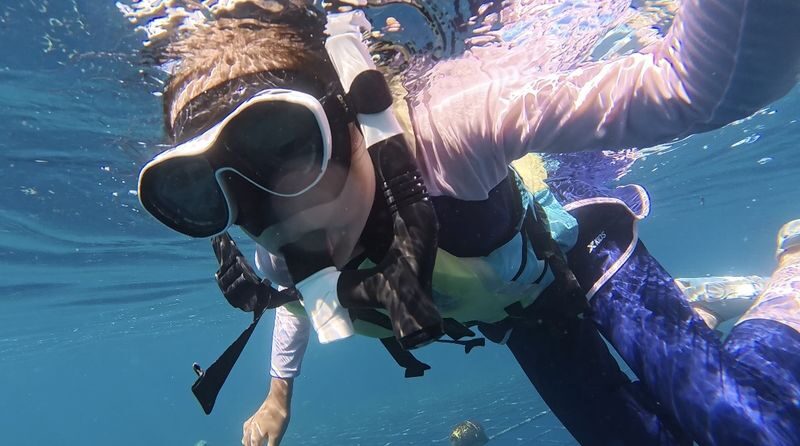 Okinawa: Whale Shark Snorkeling Experience - A beginner-friendly setup, with limits