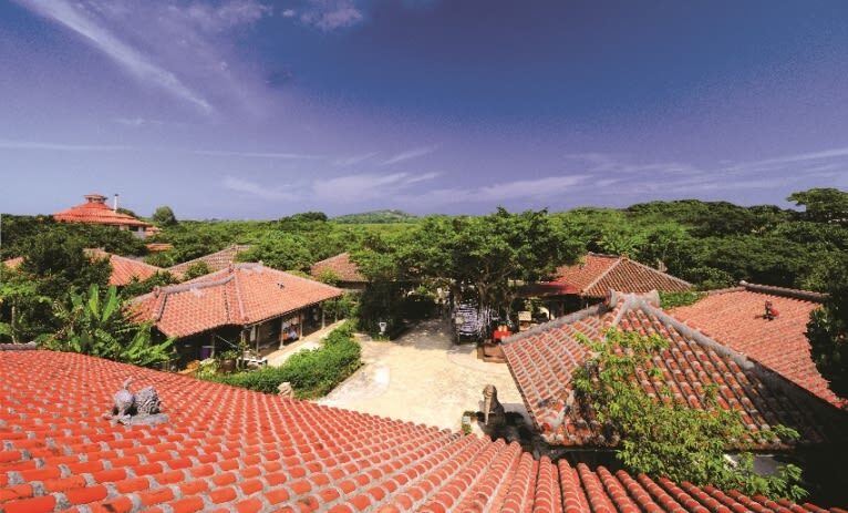 Okinawa World Admission Ticket - A cave formed on an ancient coral reef