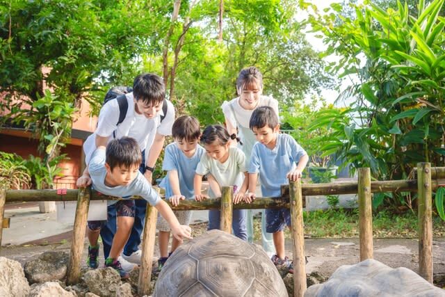 Okinawa World Admission Ticket - Should you book Okinawa World?