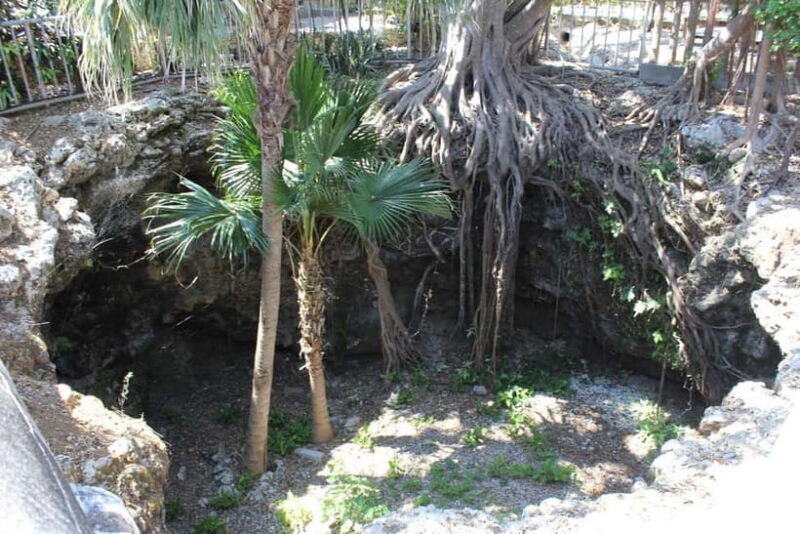 Okinawa: WWII Himeyuri Memorial & Peace Museum Guided Tour - An In-Depth Look at the Okinawa WWII Himeyuri Memorial & Peace Museum Tour