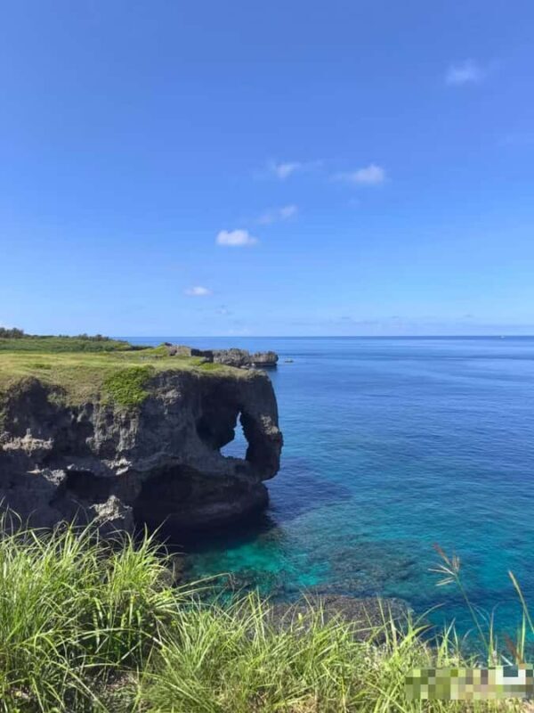 Okinawa: Yaedake Cherry Blossom Festival Private Trip - Analyzing the Value