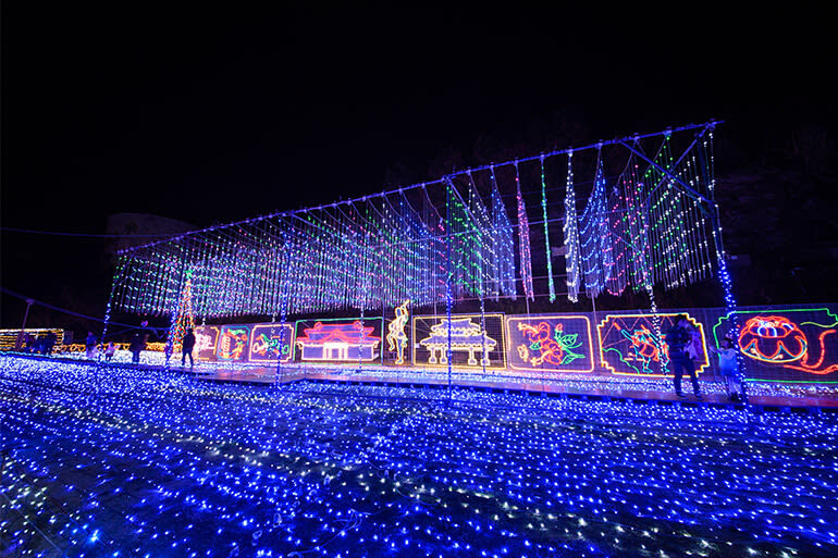Okinawa Zoo & Museum Admission Ticket - At a glance