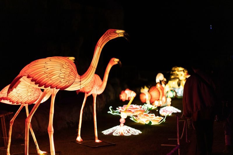 Okinawa Zoo & Museum Admission Ticket - What the ticket price covers