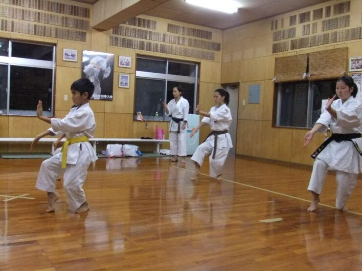 Okinawa:Karate - History of Karate in Okinawa
