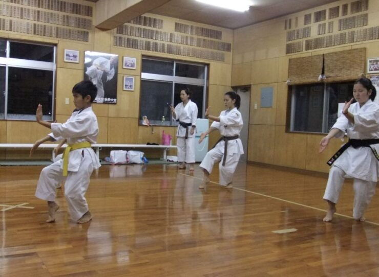 Okinawa:Karate - Benefits of Practicing Karate