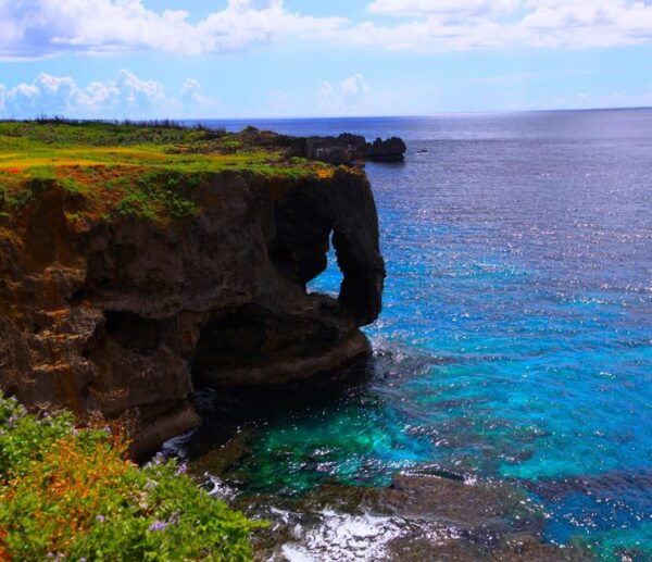 OkinawaSightseeing Bus ChuraumiAquarium/Ryukyu Village/Banta - Frequently Asked Questions