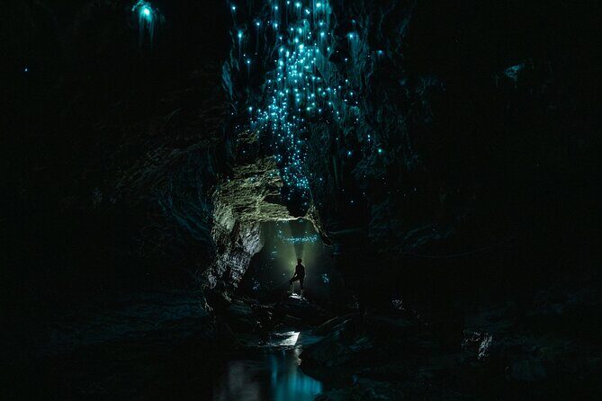 Okohua Glowworm Cave Adventure - Who Should Consider This Tour?