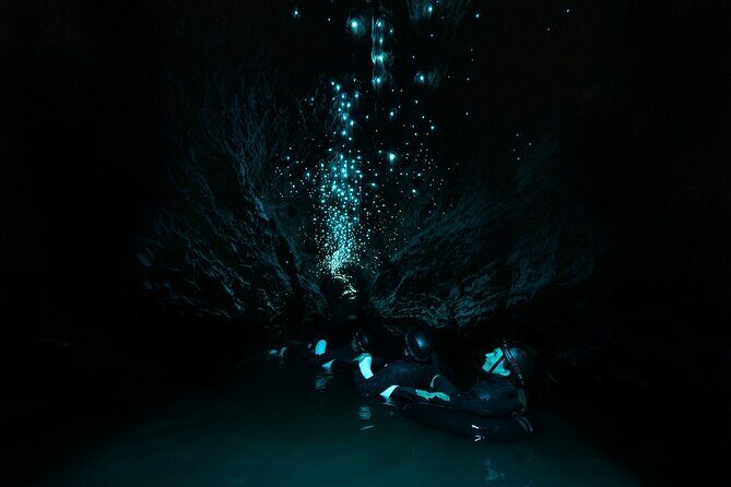 Okohua Glowworm Cave Adventure - The Sum Up