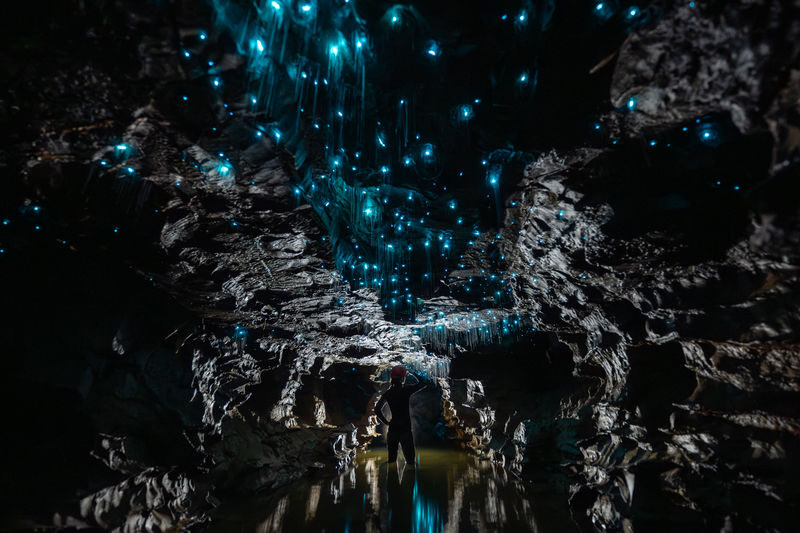 Okohua Glowworm Cave Tour - A private farm cave, not a standard stop