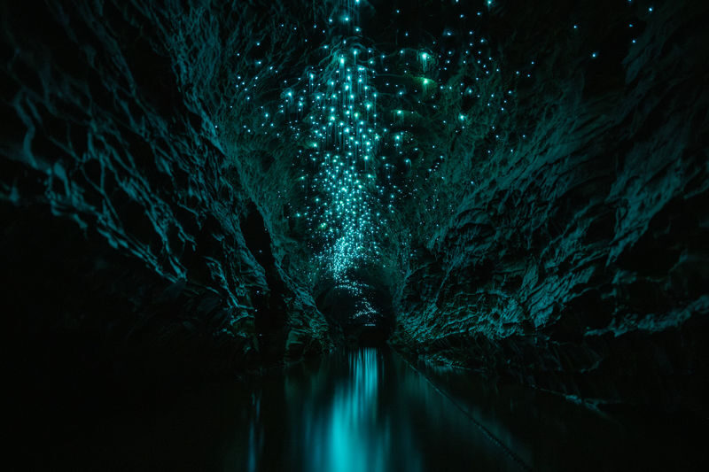 Okohua Glowworm Cave Tour - Who should book this outing?