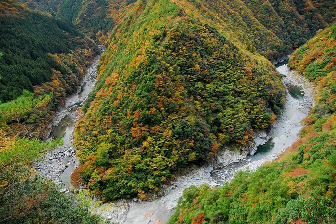Oku-Iya Cab Plan 6 Hours Course / Tokushima, Shikoku - Highlights of the Oku-Iya Cab Plan