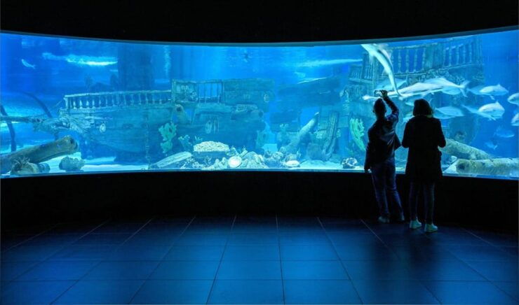 Okurcalar/Alanya: Antalya Aquarium Round-Trip Bus Transfer - Key Points