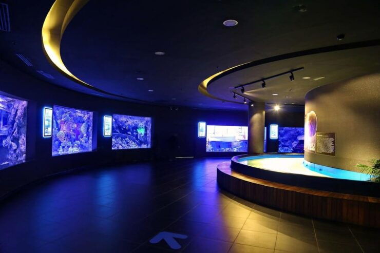 Okurcalar/Alanya: Antalya Aquarium Round-Trip Bus Transfer - Pricing and Duration