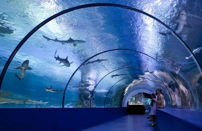 Okurcalar/Alanya: Antalya Aquarium Round-Trip Bus Transfer - Experience Highlights