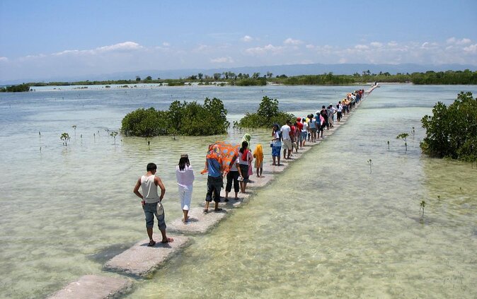 Olango Island Bird Watching and Snorkeling Day Trip From Cebu - Marine Sanctuary Snorkeling