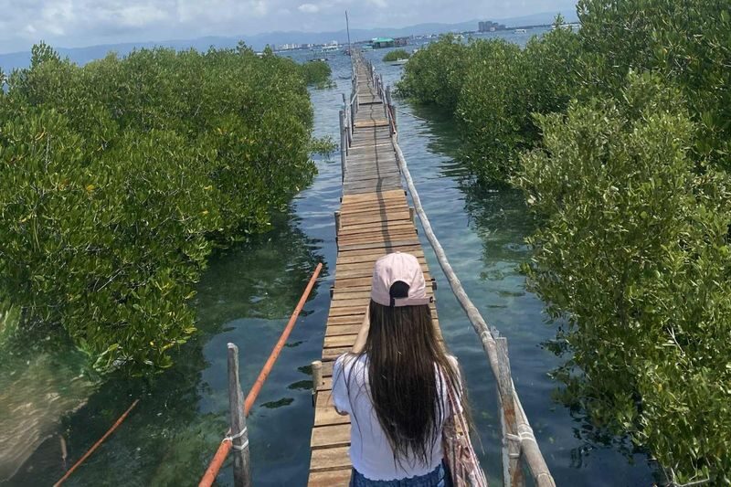 Olango Island Tour in Cebu - Should you book the Olango Island Tour?