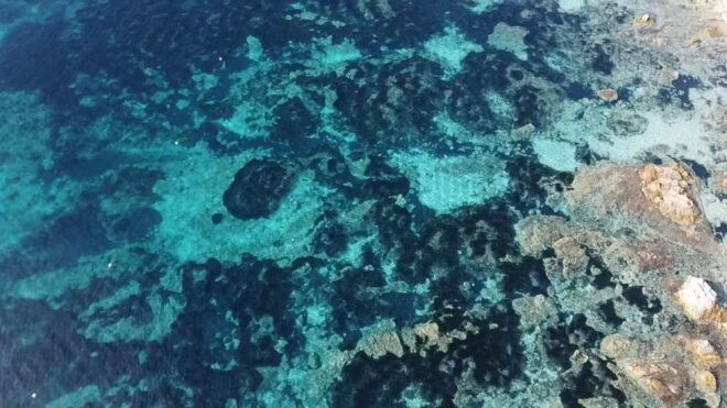 Olbia: Boat Tour to Watch Dolphins and Snorkeling - What to Bring and Prohibited Items