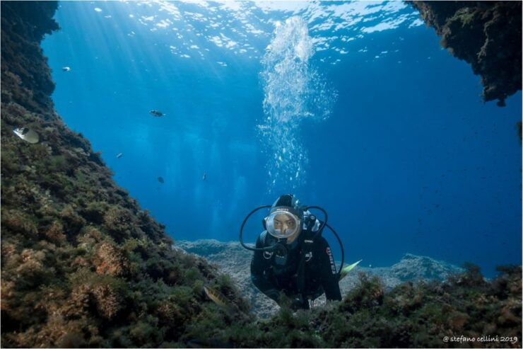 Olbia: Diving in Tavolara Marine Park in Sardinia - Pricing and Duration