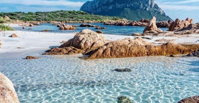Olbia: Diving in Tavolara Marine Park in Sardinia - Booking Information and Additional Options