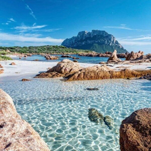 Olbia: Diving in Tavolara Marine Park in Sardinia - The Sum Up